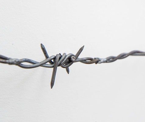 dream on, barbed wire, migration case, merican steel, bisbee, john, cmca, nails, art, sculpture, political art