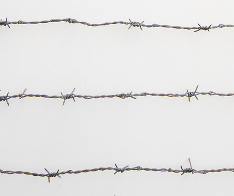 dream on, barbed wire, migration case, merican steel, bisbee, john, cmca, nails, art, sculpture, political art